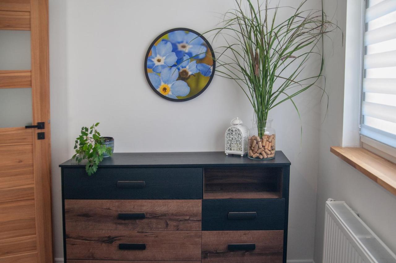 Apartament Niezapominajka Apartment Warmbrunn Ngoại thất bức ảnh